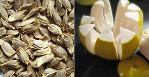 Hạt bưởi – Cách dùng hạt bưởi chữa đau dạ dày